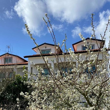 Tábua Majo Alojamento Local Bed & Breakfast エクステリア 写真