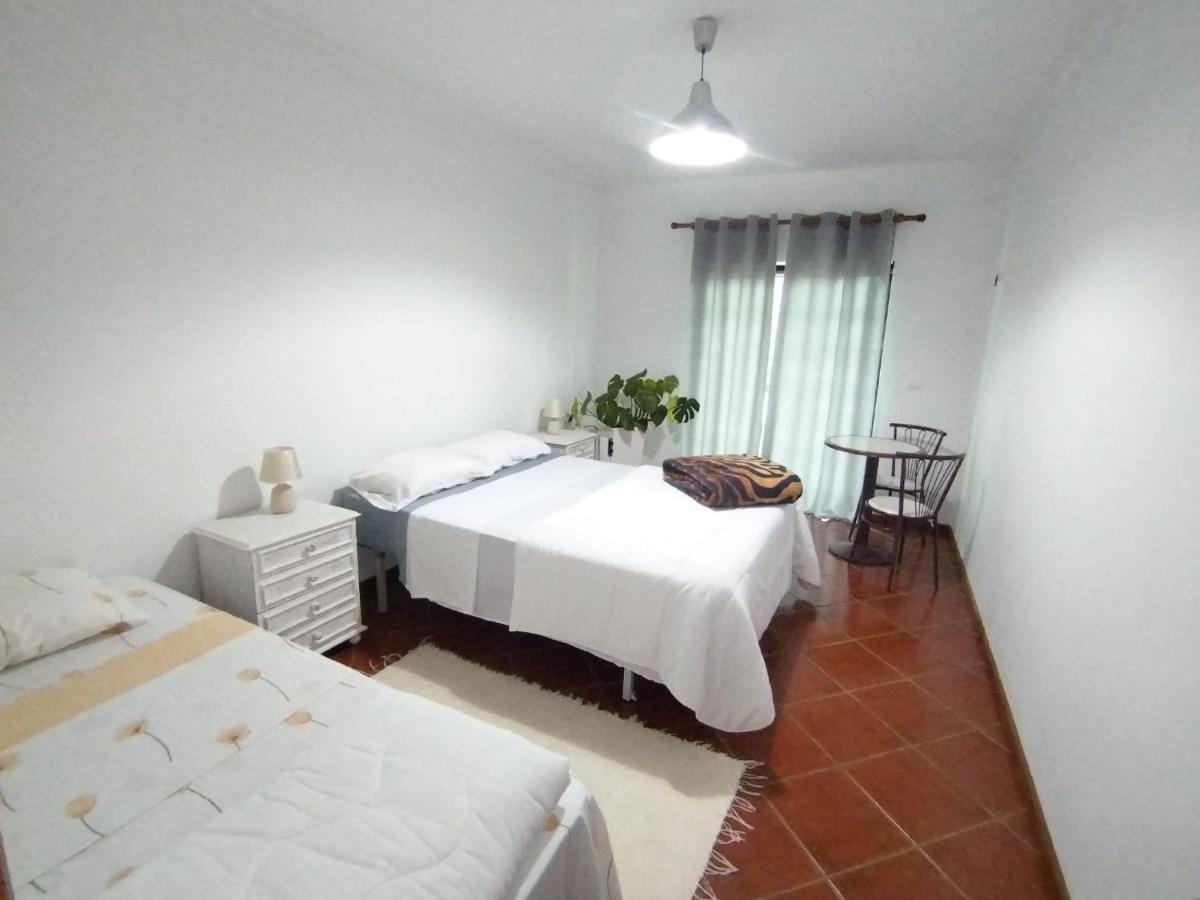 Tábua Majo Alojamento Local Bed & Breakfast エクステリア 写真